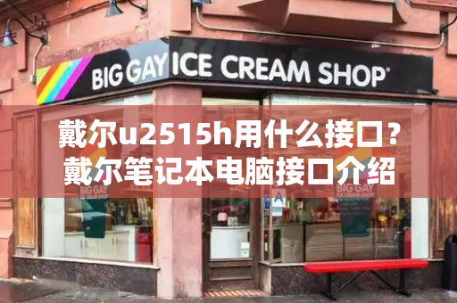 戴尔u2515h用什么接口？戴尔笔记本电脑接口介绍-第1张图片-星选测评