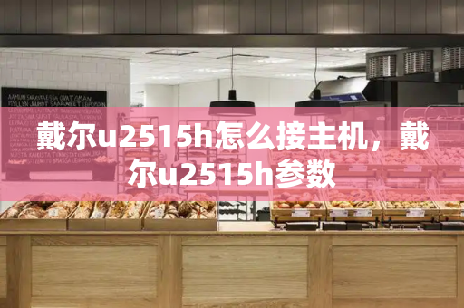 戴尔u2515h怎么接主机，戴尔u2515h参数-第1张图片-星选测评