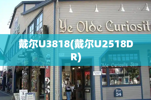 戴尔U3818(戴尔U2518DR)-第1张图片-星选测评