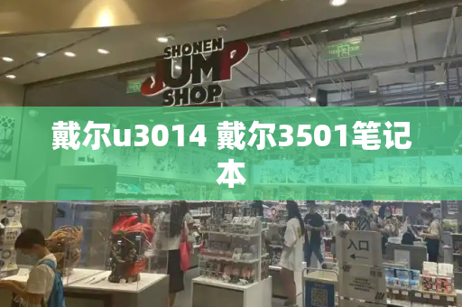 戴尔u3014 戴尔3501笔记本-第1张图片-星选测评