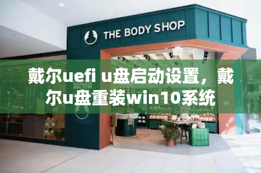 戴尔uefi u盘启动设置，戴尔u盘重装win10系统-第1张图片-星选测评