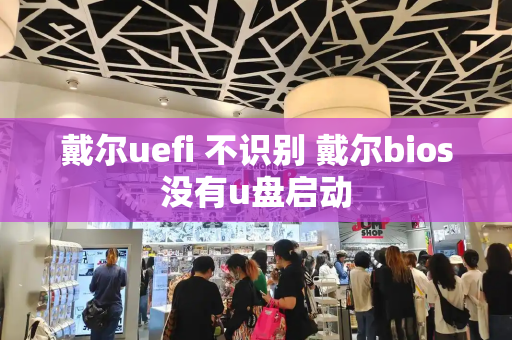 戴尔uefi 不识别 戴尔bios没有u盘启动