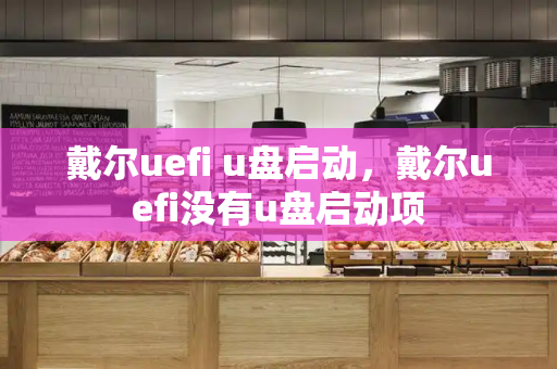 戴尔uefi u盘启动，戴尔uefi没有u盘启动项