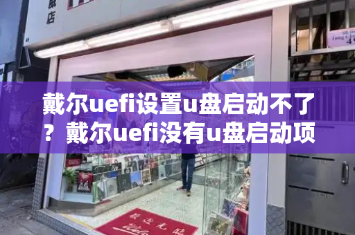 戴尔uefi设置u盘启动不了？戴尔uefi没有u盘启动项