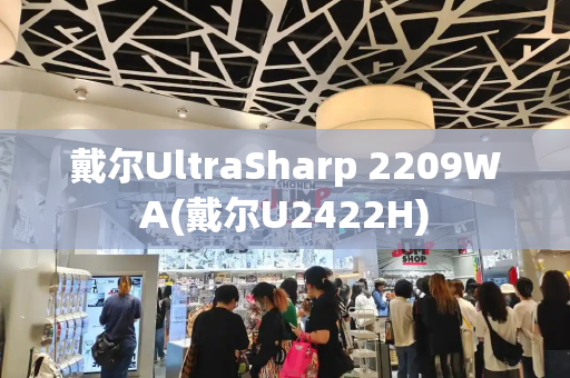 戴尔UltraSharp 2209WA(戴尔U2422H)