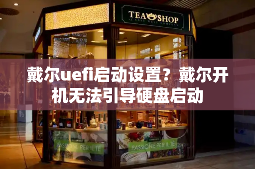 戴尔uefi启动设置？戴尔开机无法引导硬盘启动-第1张图片-星选测评