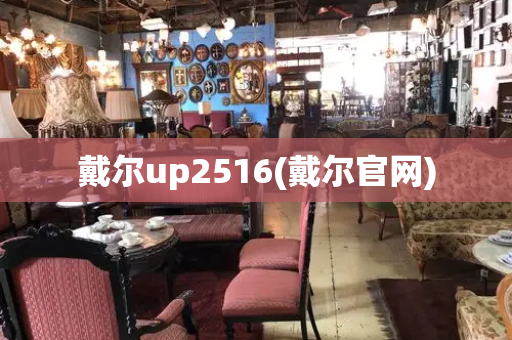 戴尔up2516(戴尔官网)