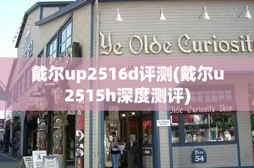 戴尔up2516d评测(戴尔u2515h深度测评)