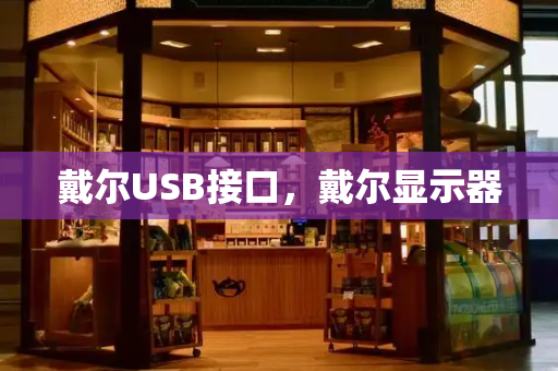 戴尔USB接口，戴尔显示器