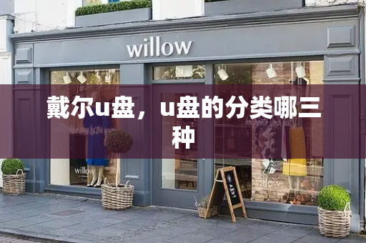 戴尔u盘，u盘的分类哪三种-第1张图片-星选测评
