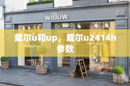 戴尔u和up，戴尔u2414h参数