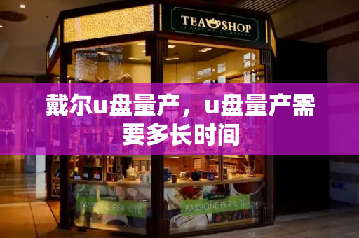 戴尔u盘量产，u盘量产需要多长时间-第1张图片-星选测评