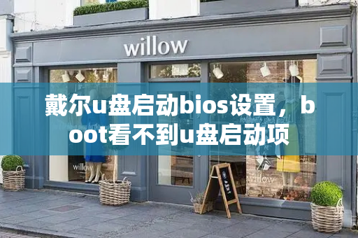 戴尔u盘启动bios设置，boot看不到u盘启动项