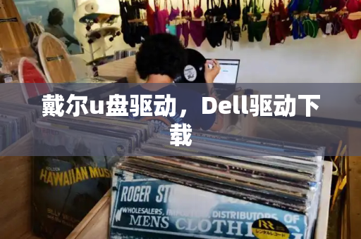 戴尔u盘驱动，Dell驱动下载