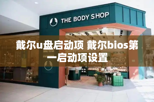 戴尔u盘启动项 戴尔bios第一启动项设置-第1张图片-星选测评