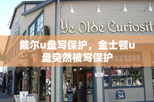 戴尔u盘写保护，金士顿u盘突然被写保护-第1张图片-星选测评