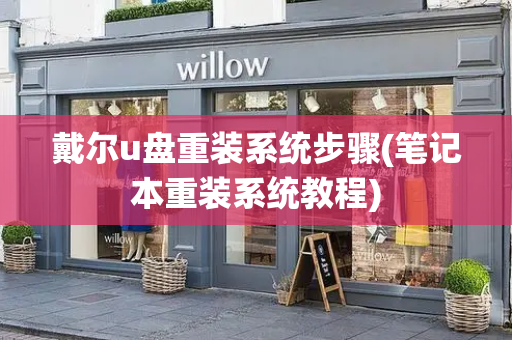戴尔u盘重装系统步骤(笔记本重装系统教程)