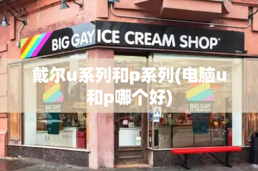 戴尔u系列和p系列(电脑u和p哪个好)