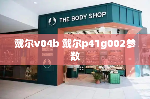 戴尔v04b 戴尔p41g002参数-第1张图片-星选测评