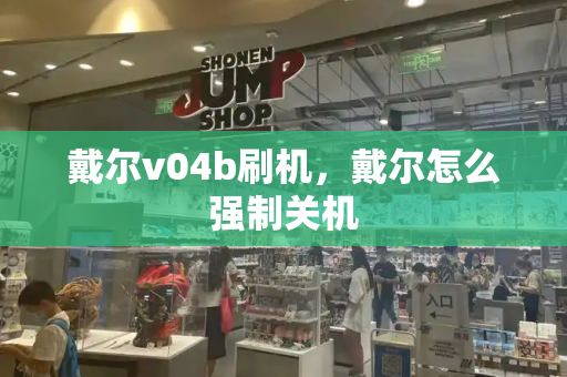 戴尔v04b刷机，戴尔怎么强制关机