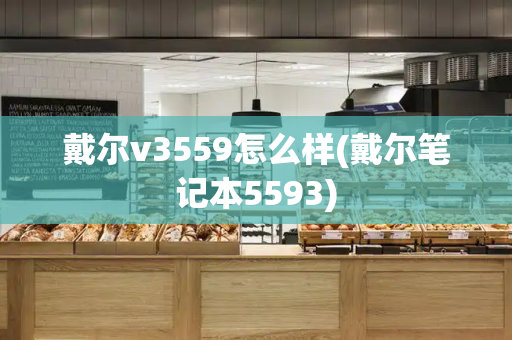 戴尔v3559怎么样(戴尔笔记本5593)-第1张图片-星选测评