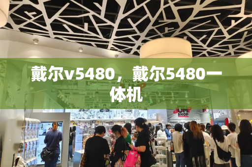 戴尔v5480，戴尔5480一体机