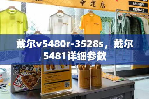 戴尔v5480r-3528s，戴尔5481详细参数-第1张图片-星选测评