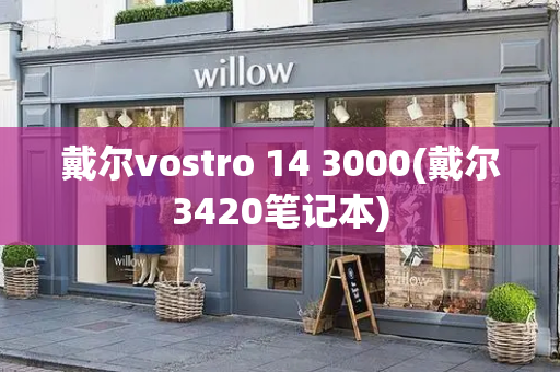 戴尔vostro 14 3000(戴尔3420笔记本)-第1张图片-星选测评