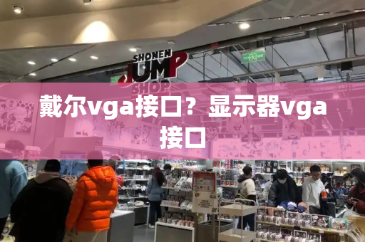 戴尔vga接口？显示器vga接口