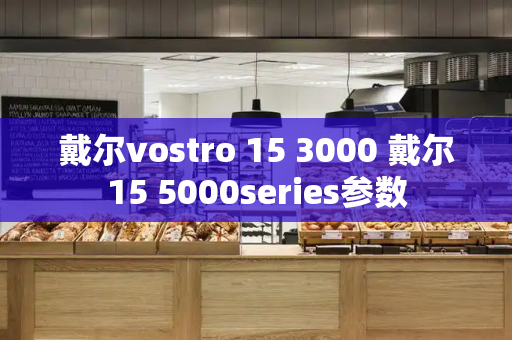 戴尔vostro 15 3000 戴尔15 5000series参数-第1张图片-星选测评