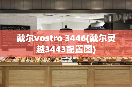 戴尔vostro 3446(戴尔灵越3443配置图)