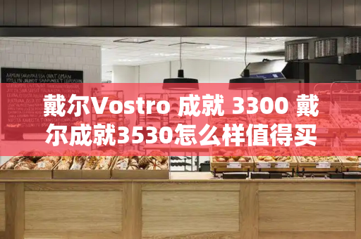 戴尔Vostro 成就 3300 戴尔成就3530怎么样值得买吗-第1张图片-星选测评