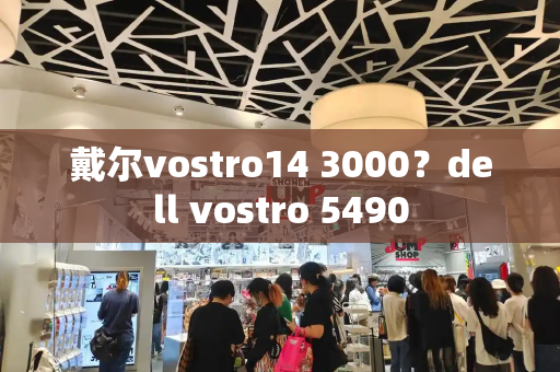 戴尔vostro14 3000？dell vostro 5490