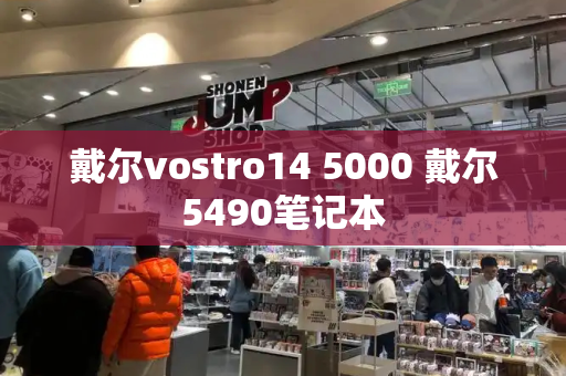 戴尔vostro14 5000 戴尔5490笔记本