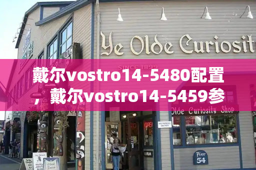 戴尔vostro14-5480配置，戴尔vostro14-5459参数-第1张图片-星选测评