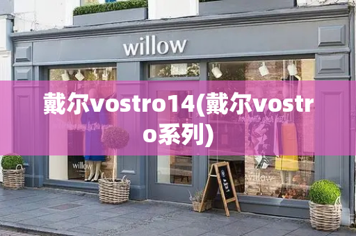 戴尔vostro14(戴尔vostro系列)