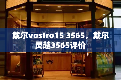 戴尔vostro15 3565，戴尔灵越3565评价-第1张图片-星选测评