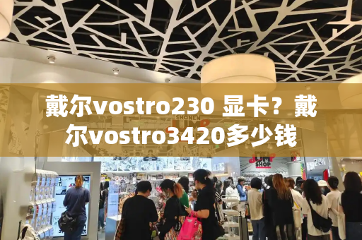 戴尔vostro230 显卡？戴尔vostro3420多少钱-第1张图片-星选测评