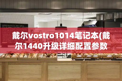 戴尔vostro1014笔记本(戴尔1440升级详细配置参数)-第1张图片-星选测评