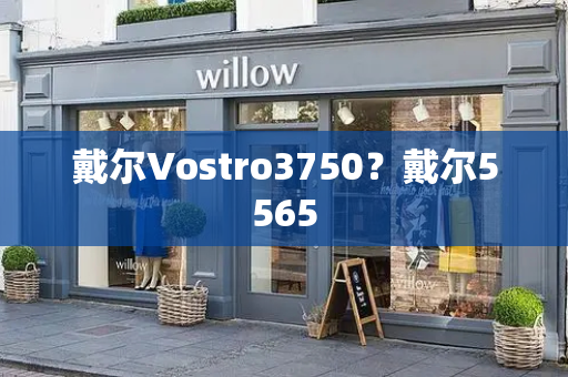 戴尔Vostro3750？戴尔5565-第1张图片-星选测评