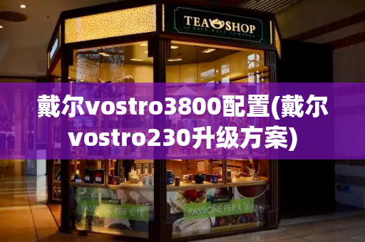 戴尔vostro3800配置(戴尔vostro230升级方案)