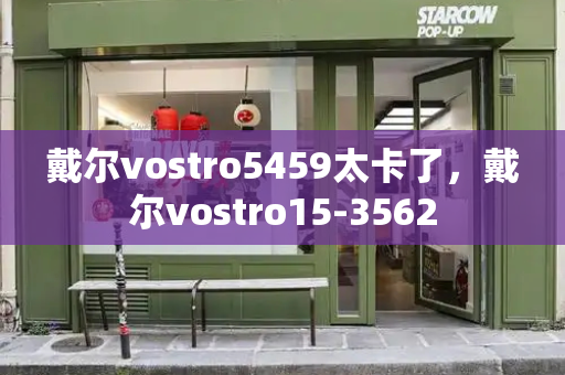 戴尔vostro5459太卡了，戴尔vostro15-3562-第1张图片-星选测评