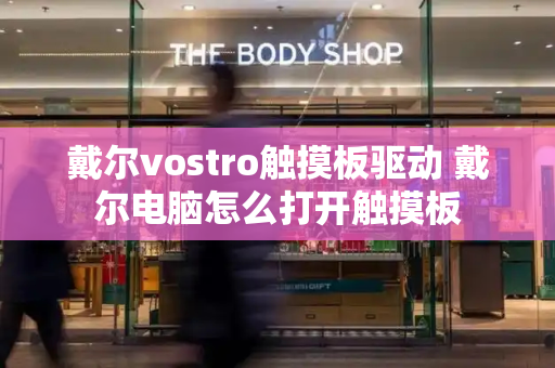 戴尔vostro触摸板驱动 戴尔电脑怎么打开触摸板