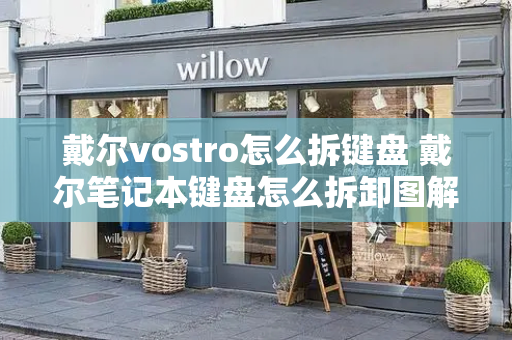 戴尔vostro怎么拆键盘 戴尔笔记本键盘怎么拆卸图解-第1张图片-星选测评