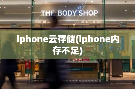 iphone云存储(iphone内存不足)-第1张图片-星选测评