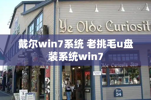 戴尔win7系统 老挑毛u盘装系统win7-第1张图片-星选测评