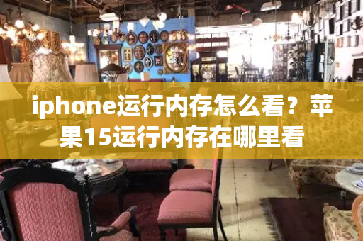 iphone运行内存怎么看？苹果15运行内存在哪里看-第1张图片-星选测评