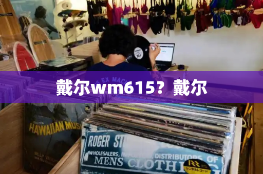 戴尔wm615？戴尔