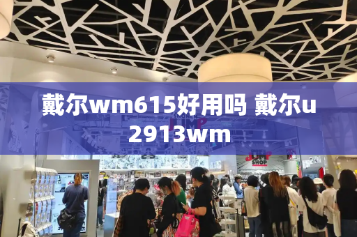 戴尔wm615好用吗 戴尔u2913wm-第1张图片-星选测评