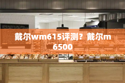 戴尔wm615评测？戴尔m6500